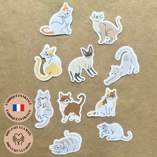 Petit Chat - Pack 10 Stickers